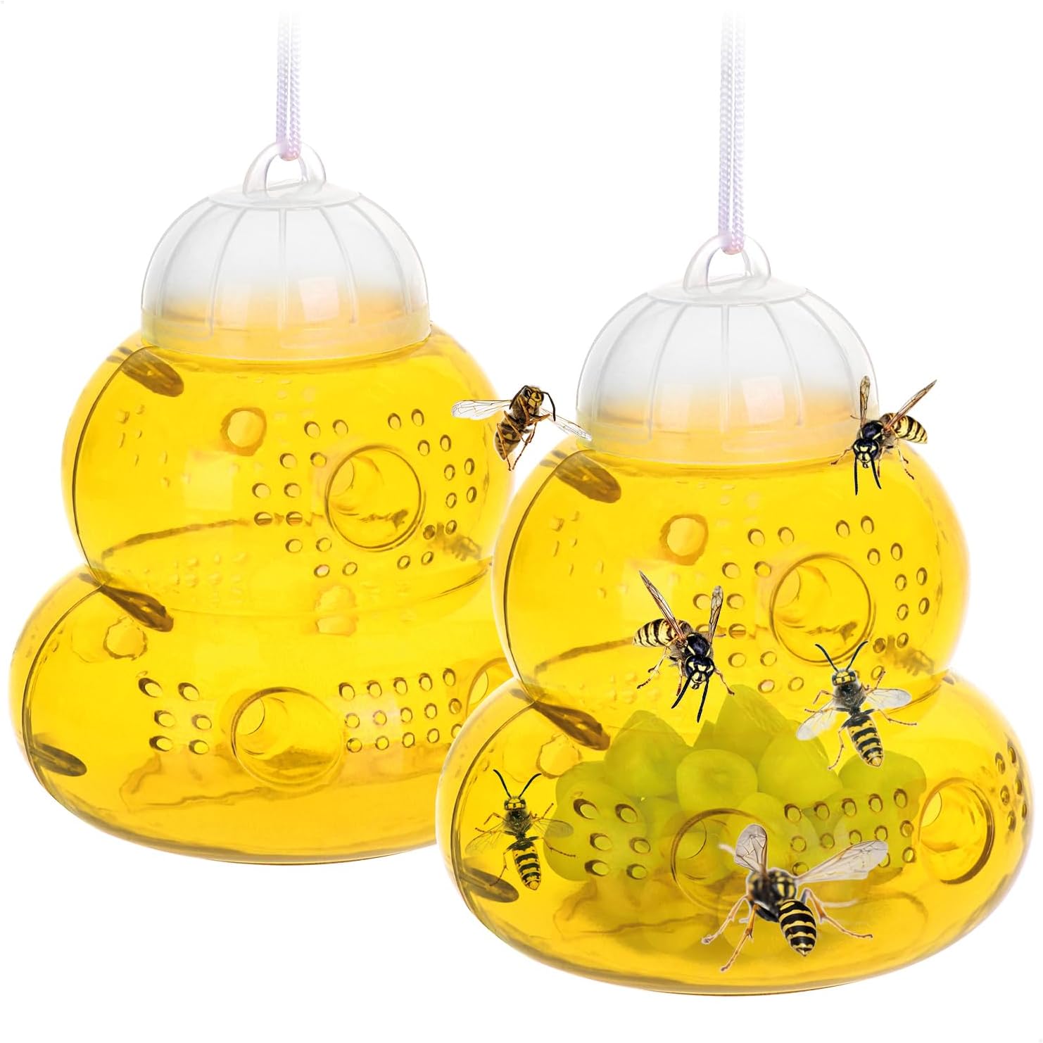 Pièges à Insectes Suspendus 2X en Plastique - Piège à Insectes Volants ...