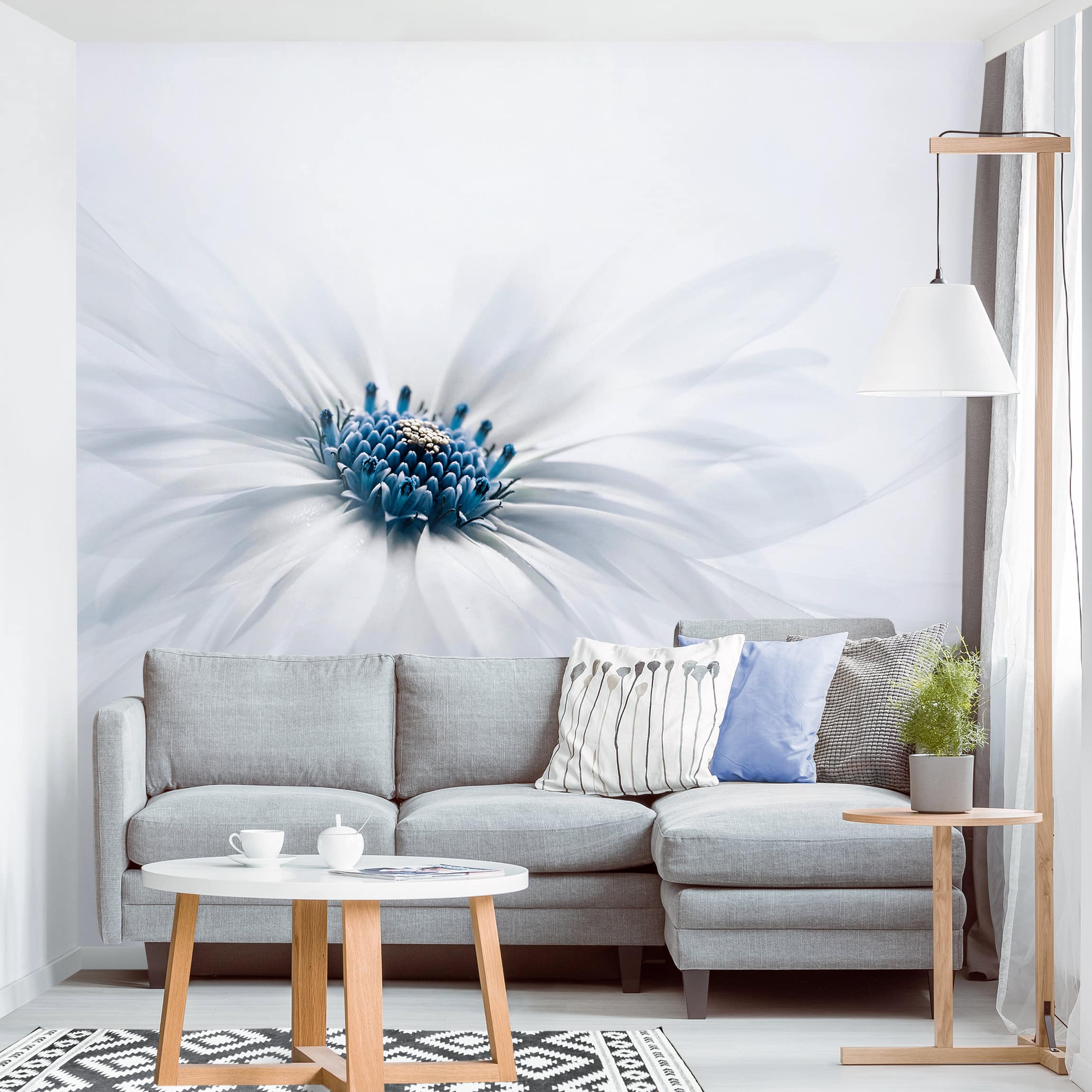 Papel pintado fotomural flores margarita azul 228 - salón dormitorio cocina pasillo - tnt 240 x 240 cm smart