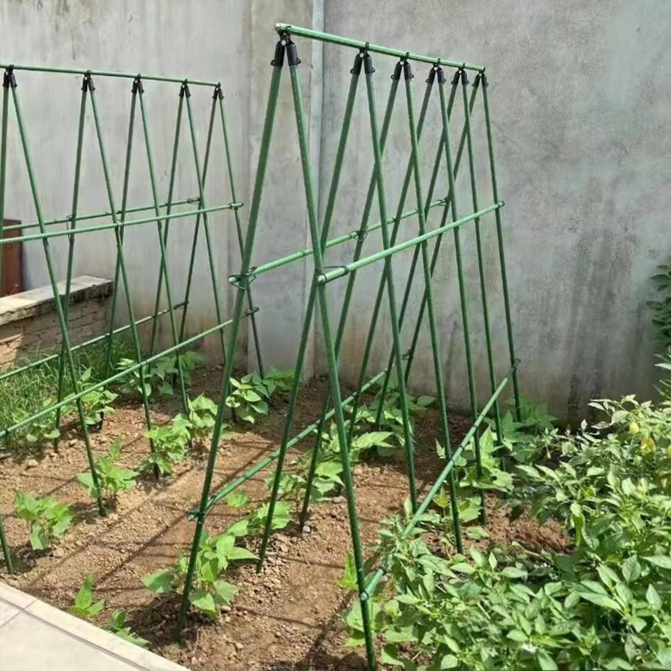 Ensemble de 36 supports d'escalade, piquets de jardin en tube d'acier plastifié, piquets de support pour plantes, adaptés aux plantes grimpantes - 8