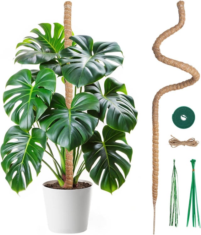 Clôture De Haie De Jardin Extérieur, 160*60cm Support De Plantes Grimpantes En Métal Pour Plantes Grimpantes, Concombres, Légumes, Fleurs | Leroy Merlin