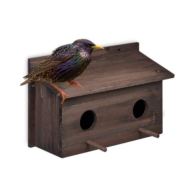 Relaxdays Casetta per Uccelli, Nido in Legno per Uccellini, Casa da Appendere in Giardino, 2 Fori Ingresso 5cm, Marrone