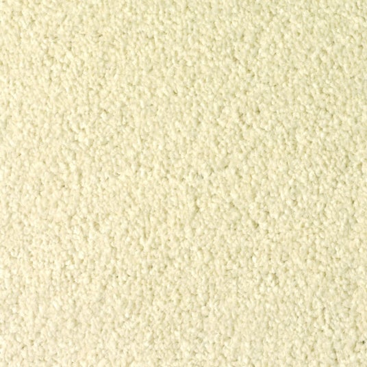 Moquette - Manège - Blanc coquille - Rouleau de 4m x 3m - 5