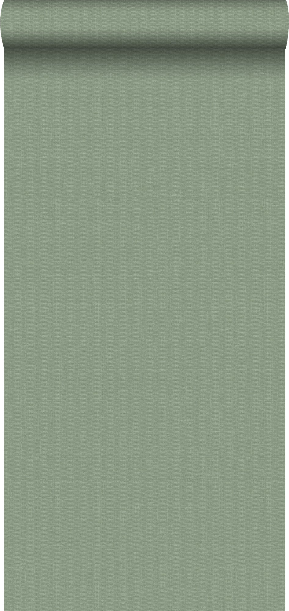Tapeta zwykły zielonym - 53 cm x 10.05 m - WALLS4YOU