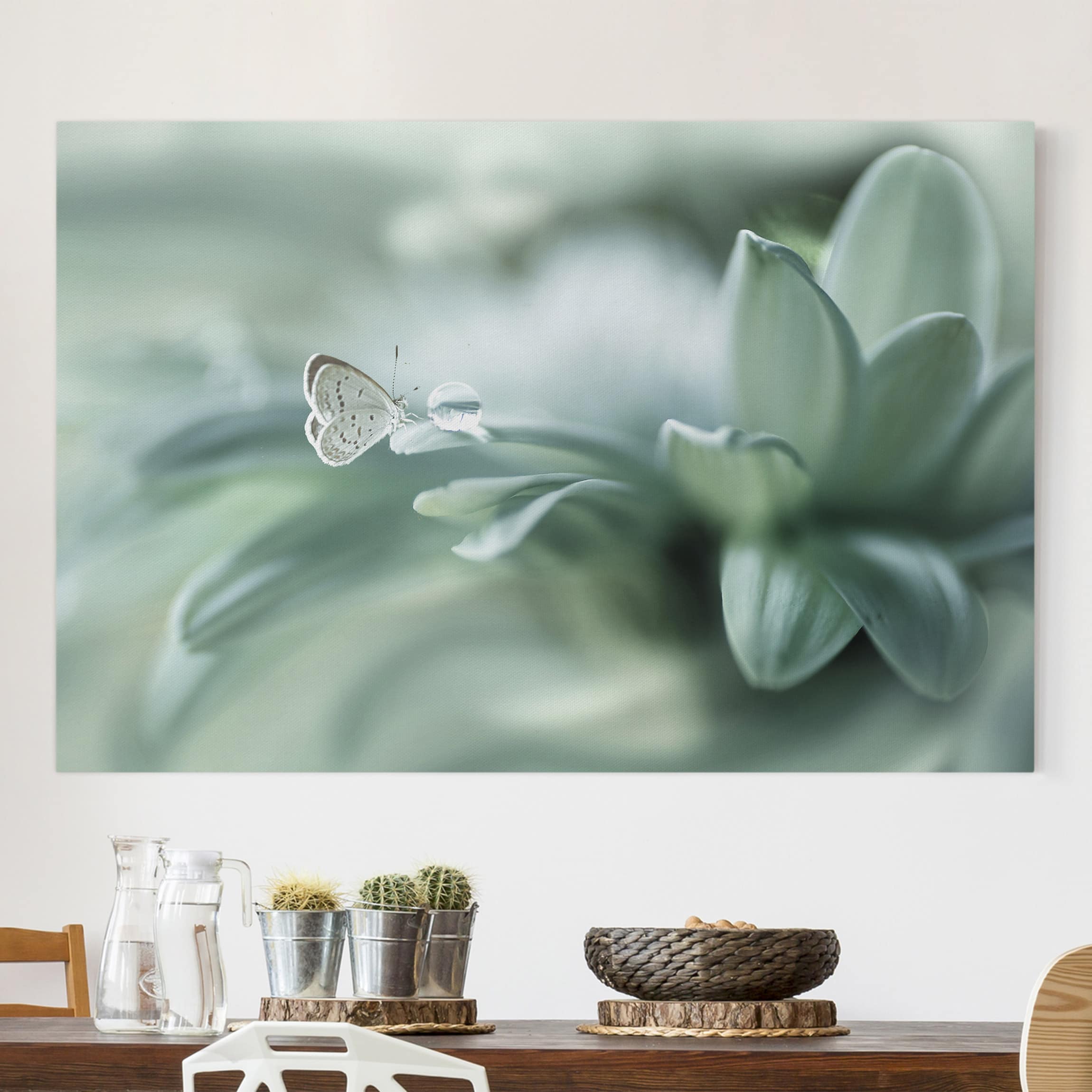 Lienzo cuadro en lienzo bastidor impresion en lienzo pastel planta fotografía mariposas 339 cocina dormitorio salón pasillo 60 x 40 cm