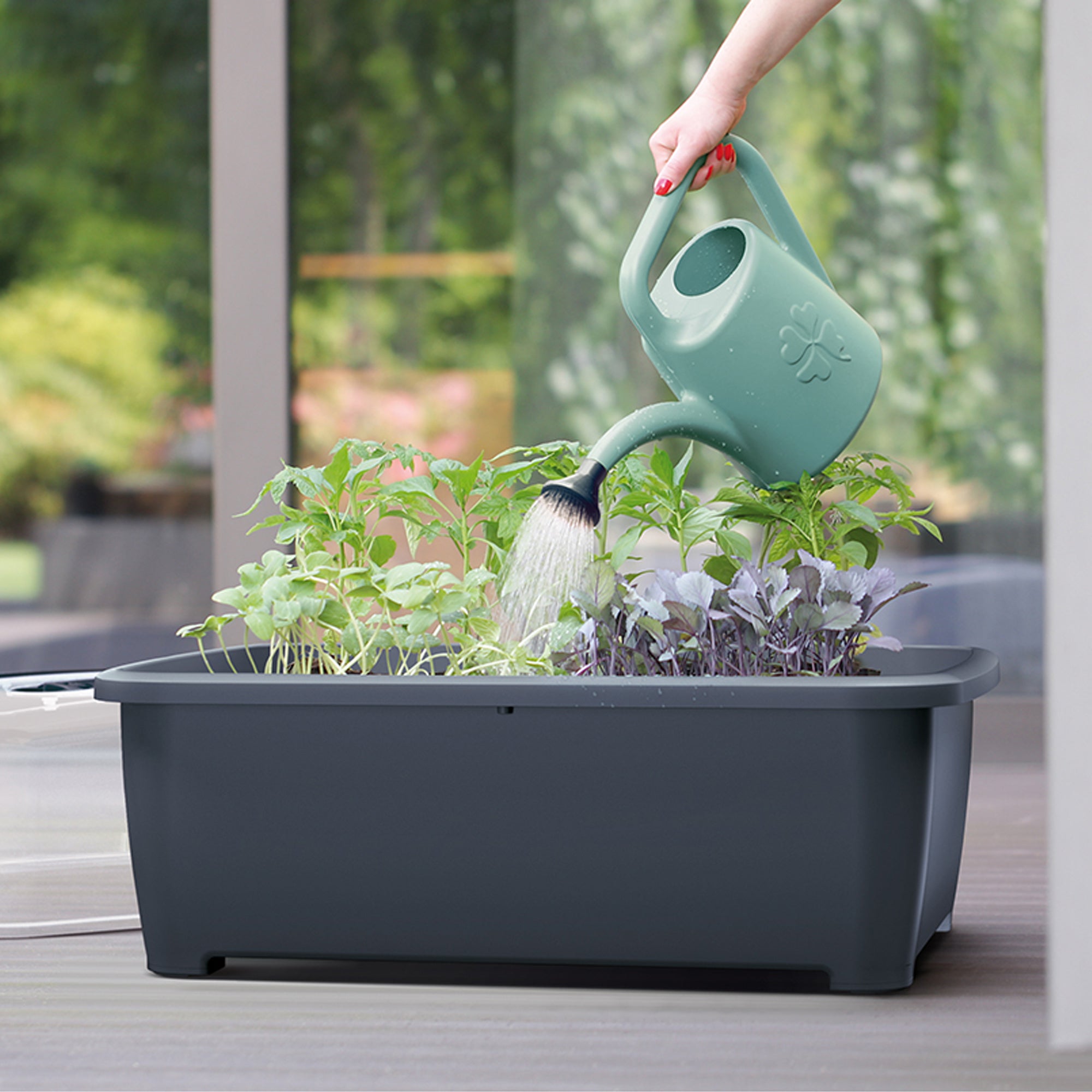 Annaffiatoio da giardino 4,5L Prosperplast Koni in colore verde - 4