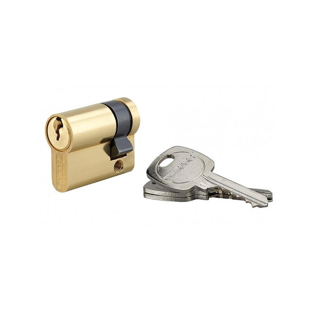 Demi-cylindre de serrure 30 x 10 mm 3 clés 915940 Thirard