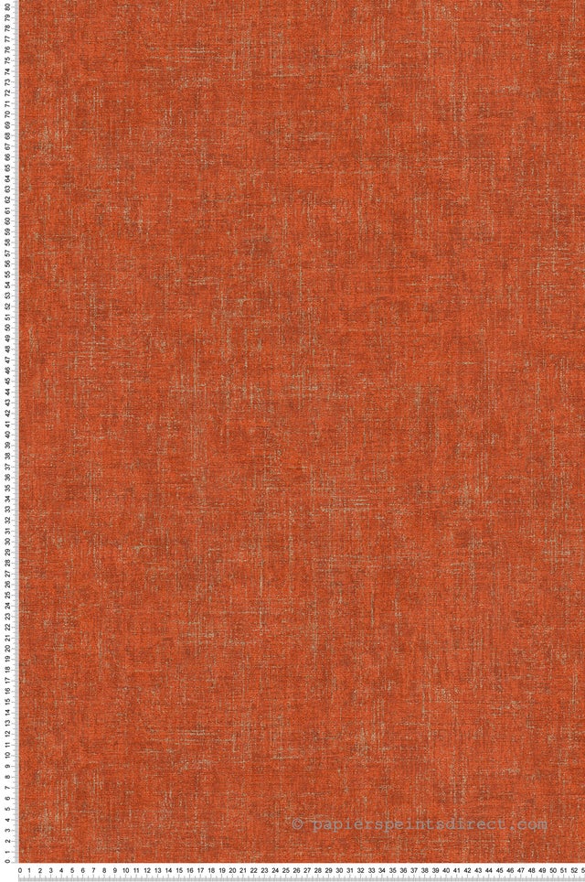 Papier peint vinyle sur intissé Lessivable Collection Bornéo|Greenery L.10.05 x l.0.53 m. - Réf. SP03663