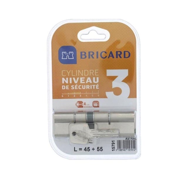 Cylindre de porte Bricard Astral 15791 débrayable 45+55 mm 4 clés sécurité 3