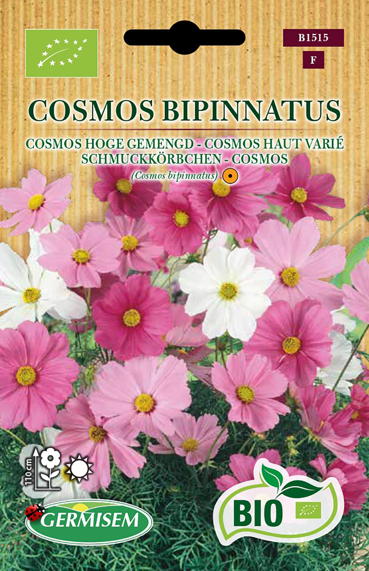 Cosmos Bipenné 'Daydream' - Cosmos bipinnatus - Mulder Retail