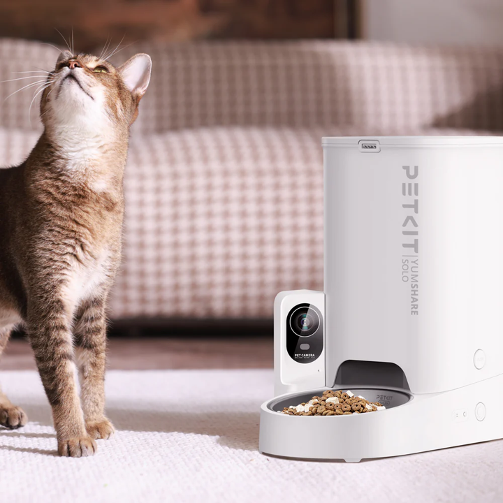 PETKIT Yumshare sólo con Room - Dispensador de comida | Leroy Merlin