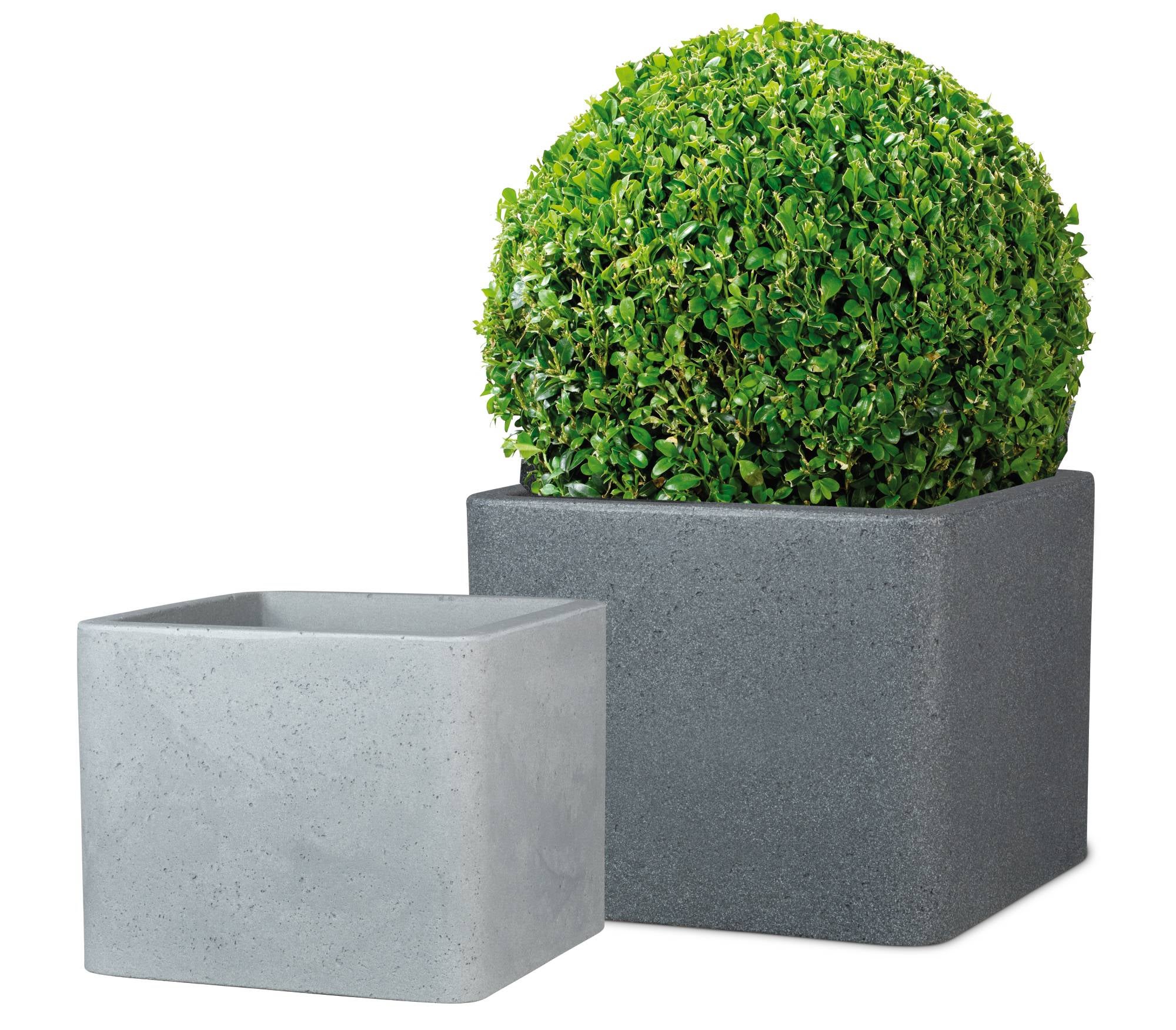 Scheurich Alea 40, bac à plantes/pot à fleurs/jardinière, carré, coloris: Granit noir, fabriqué avec du plastique recyclé, pour l’extérieur - 2