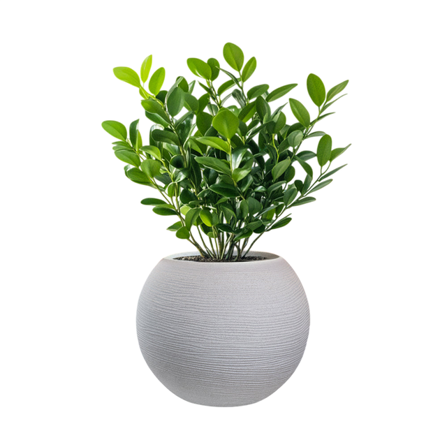 Vaso decorativo vaso per fiori 32 cm altezza Design moderno in ceramica