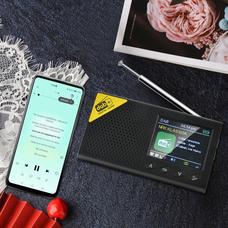 Radio numérique DAB et FM avec Bluetooth, radio numérique portable rechargeable sans fil DAB+FM avec système audio stéréo, écran LCD, multilingue - 8