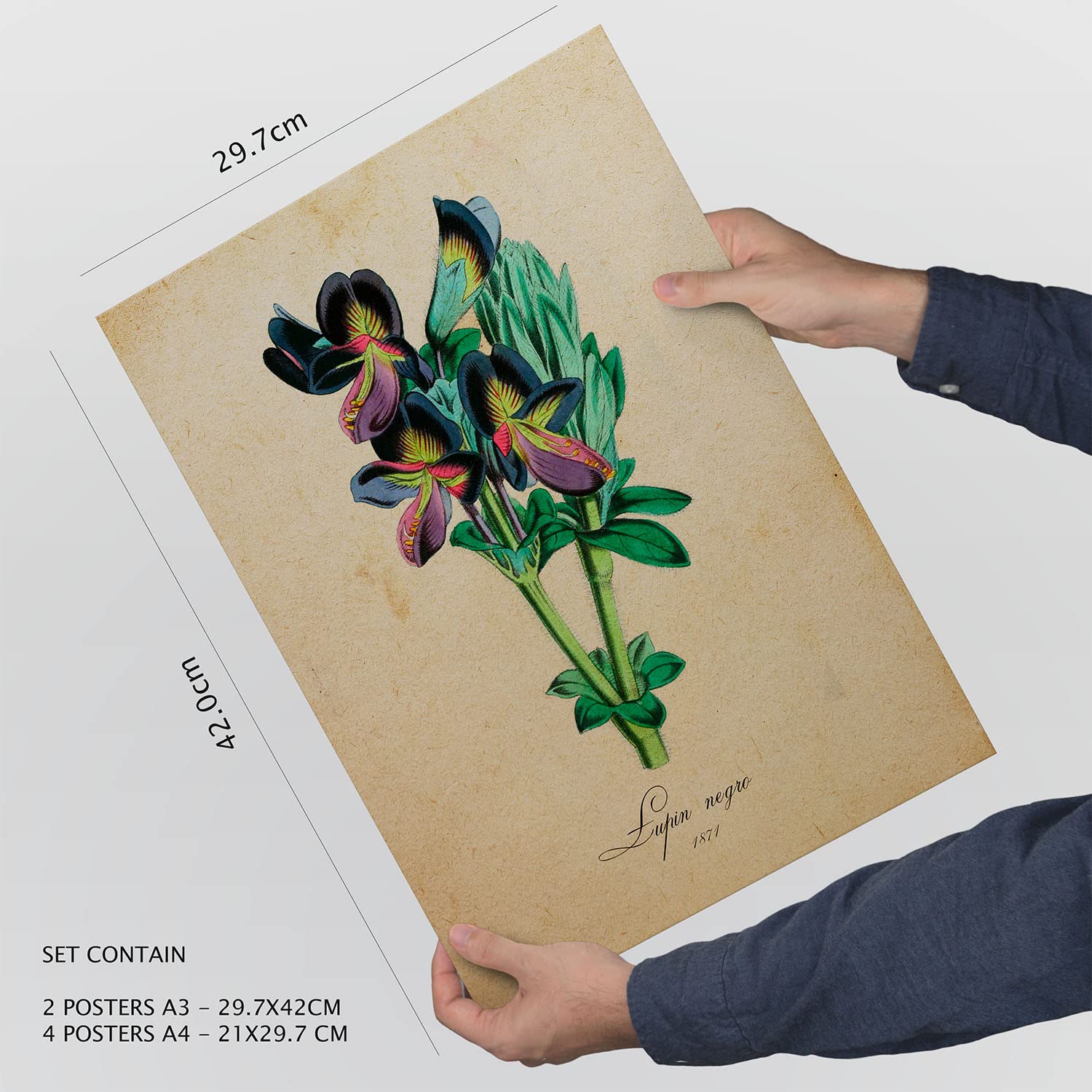 Set de 6 posters de flores vintage. coleccion de láminas con estetica collage para la tamanos a3 y a4 marco negro
