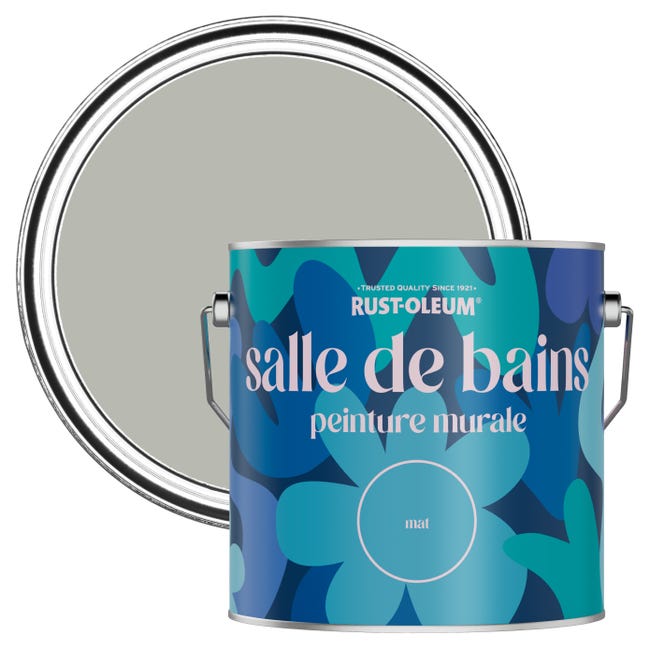 Peinture Grise résistante à l'eau pour Murs de Salle de Bains, Mate ...