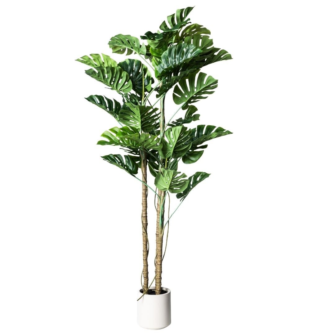 Planta artificial decorativa Monstera de 210 cm en maceta color verde - 2