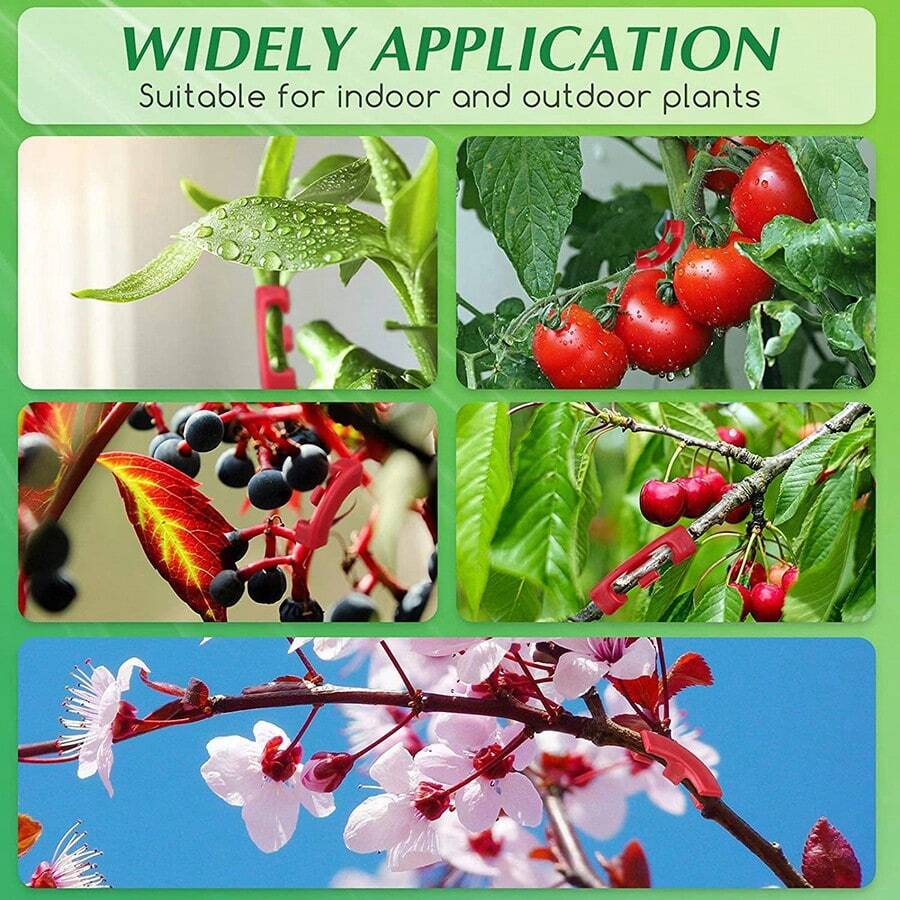 Pinces de pliage de plantes à 90 °, 10 pièces, outil de pliage de plantes, Support de vigne de légumes, Clips de Support de jardin - 4