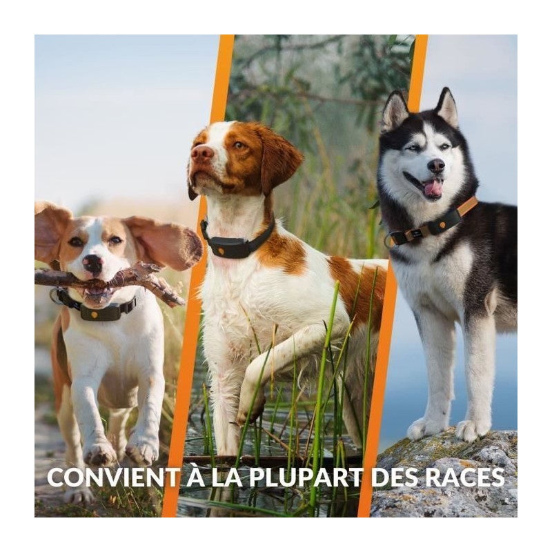 Coleira GPS para cães - WEENECT Dog XT - Antena XL - Ä prova d'água - Coleira Julius-K9 - Funciona com singura - Laranja - 6