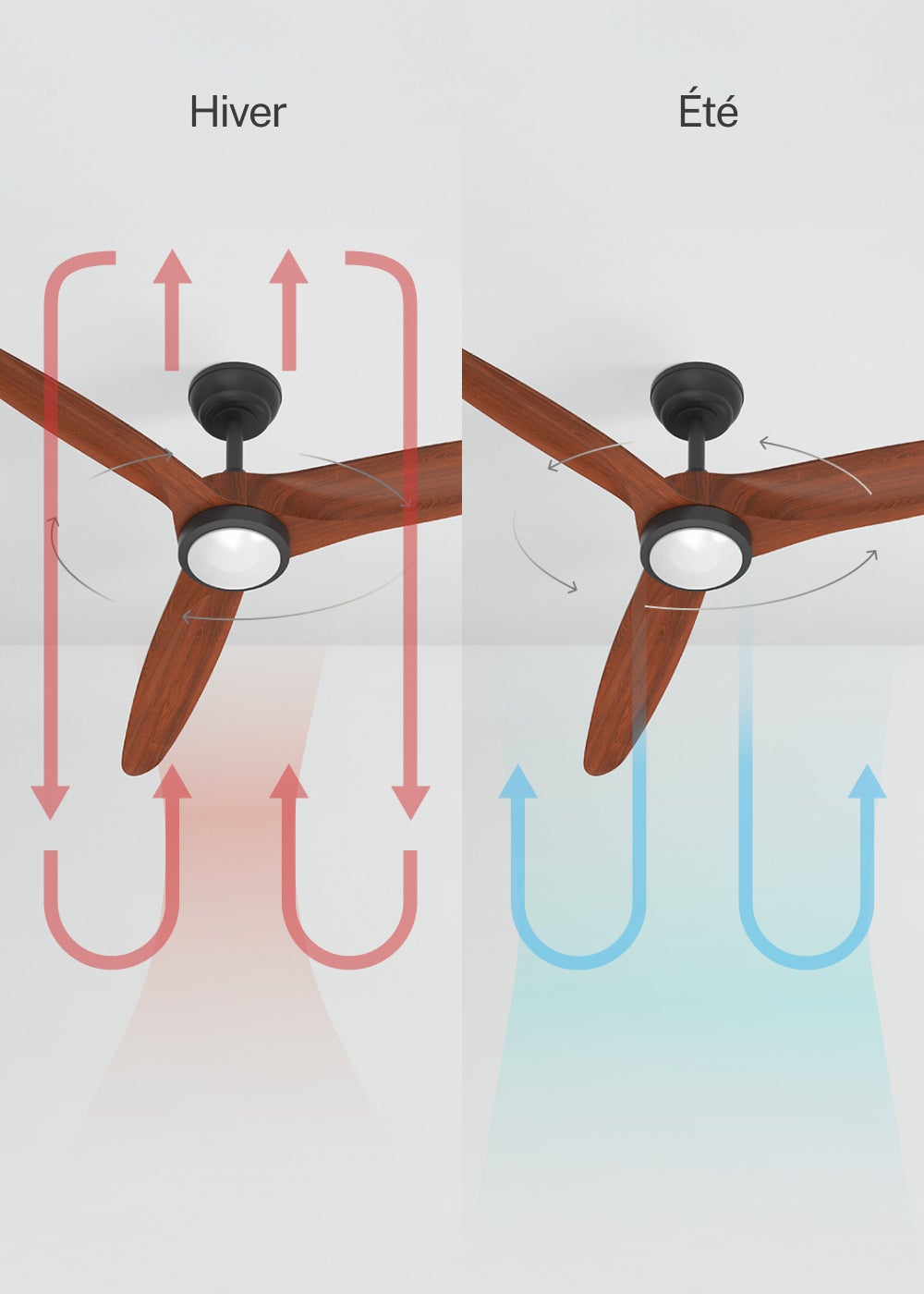 CREATE - WIND CENTURY L - Ventilateur de plafond 40W silencieux Ø152 cm 100% bois avec eclaraige sans wifi - 3