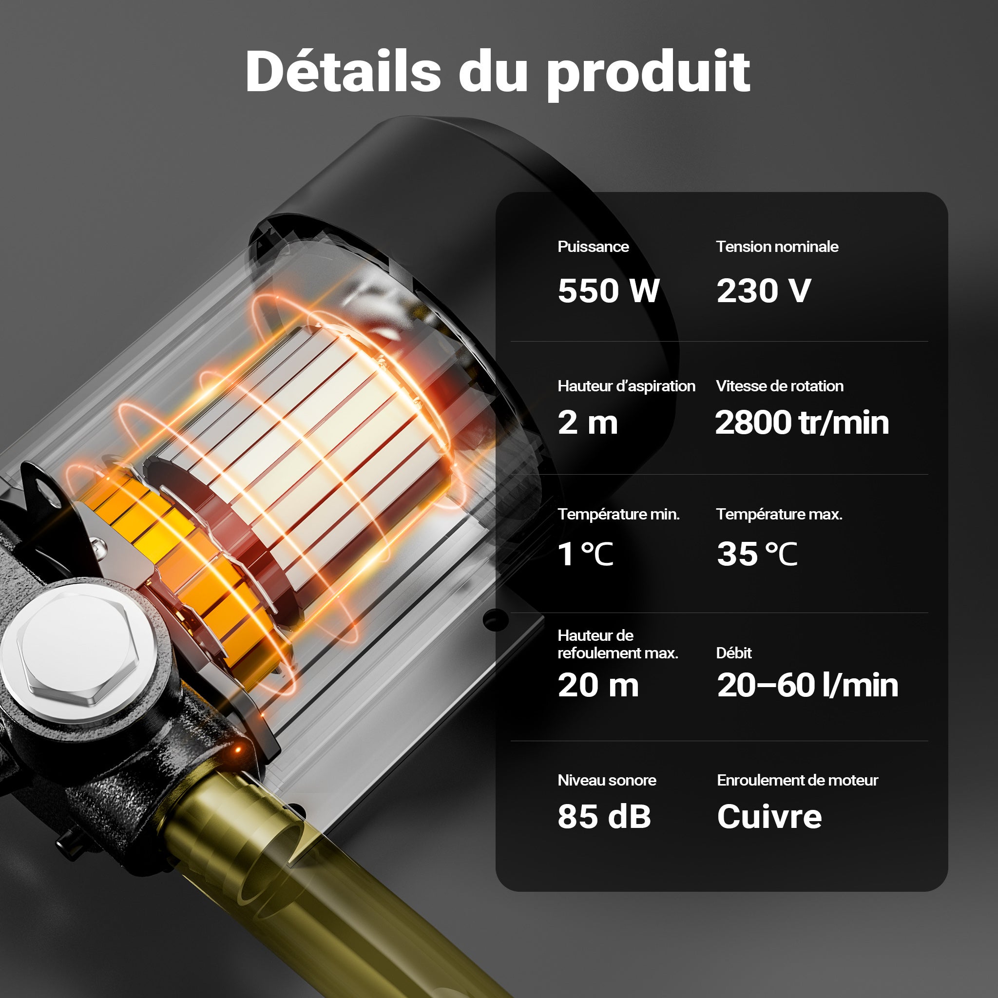 Pompe à Fuel Gasoil bio Autoaspirante – 230 V / 550 W / 20-60 l/min – Hauteur d'aspiration max. 20 m – avec Soupape by-pass, Enroulement… Wiltec - 4
