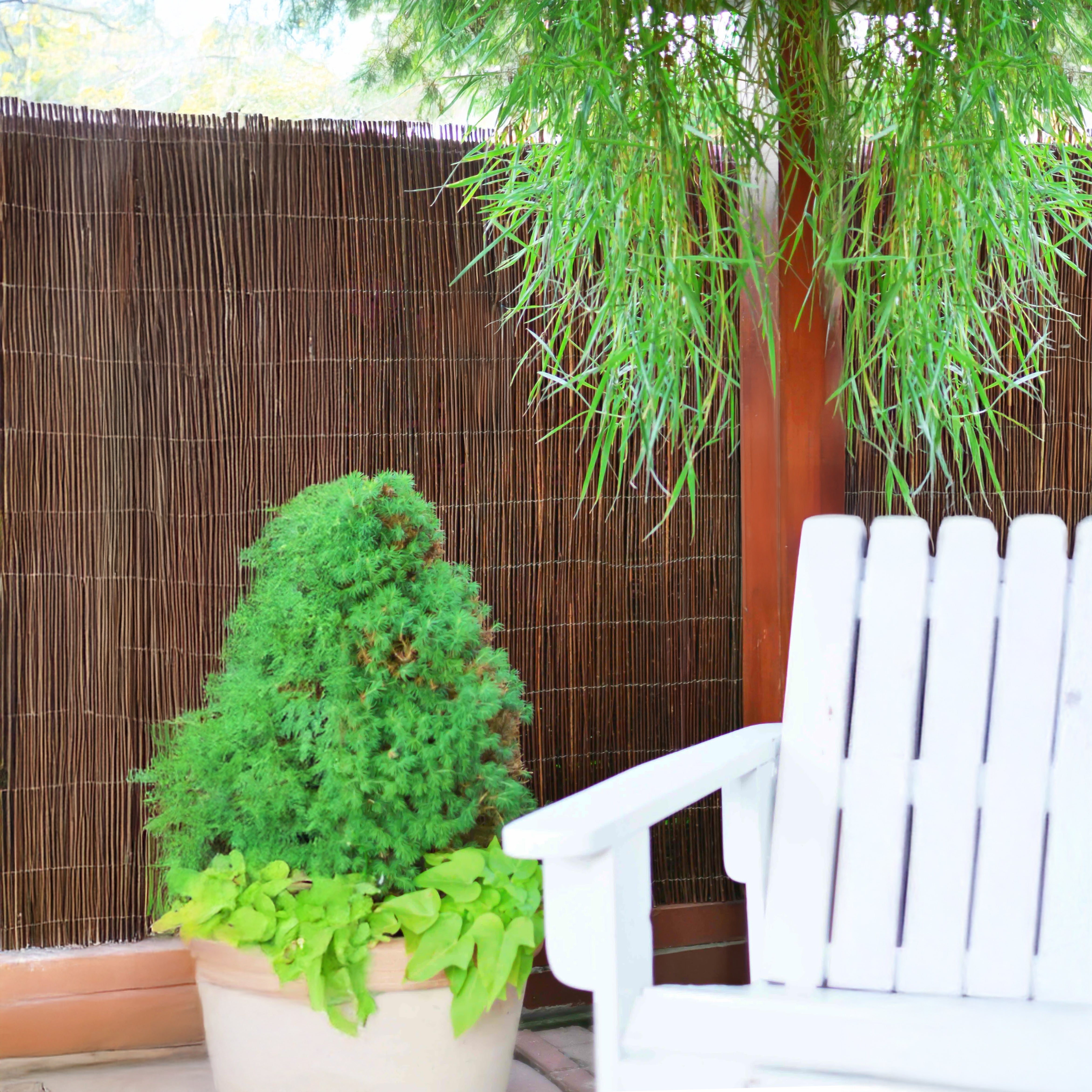 BOGATECO Clôture d'intimité en osier en bois 80 cm de haut et 500 cm de long | Parfait pour le jardin, le balcon et la terrasse | Fabriqué en Europe - 11