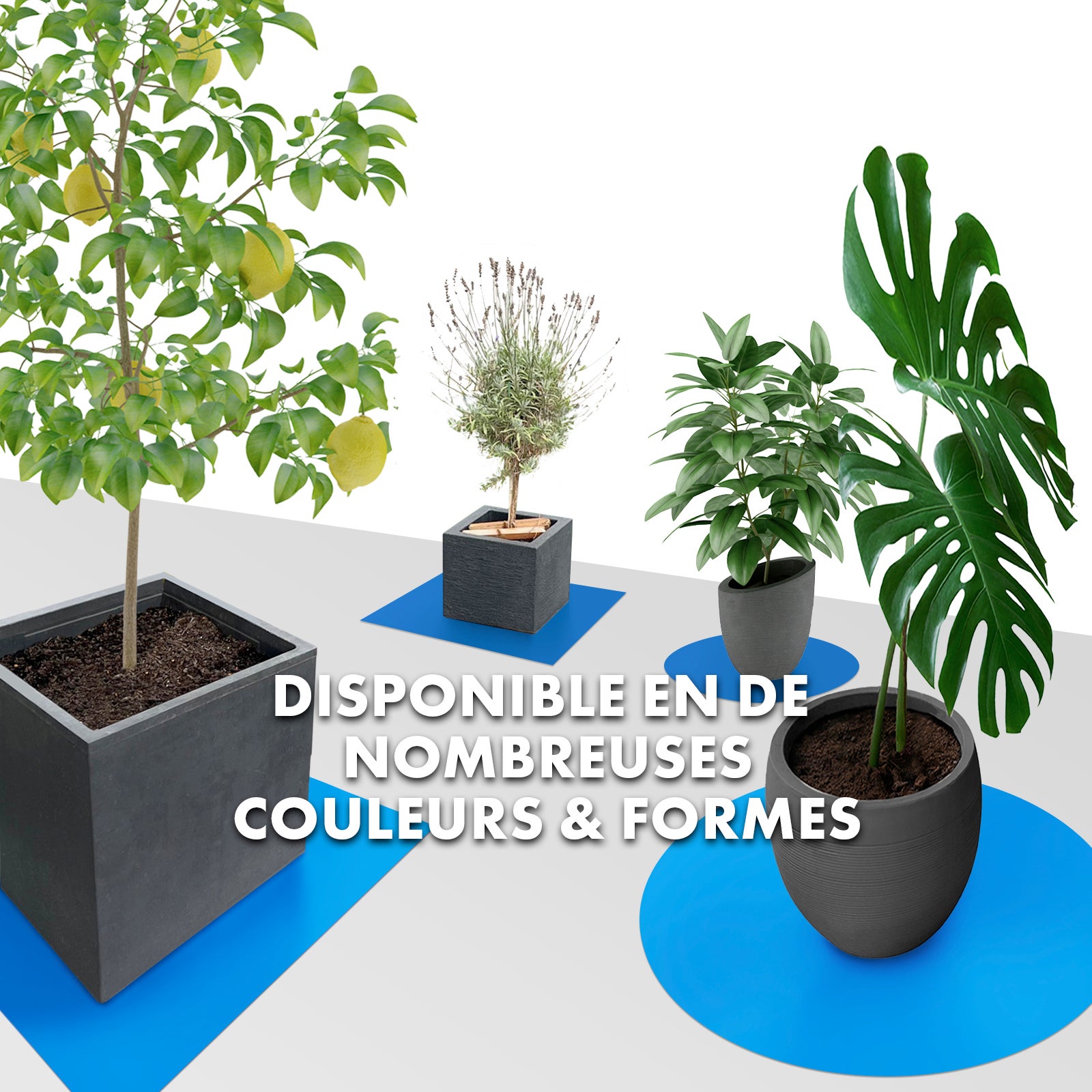 Fioriera Majesty, quadrata 60 x 60 cm, blu - 5