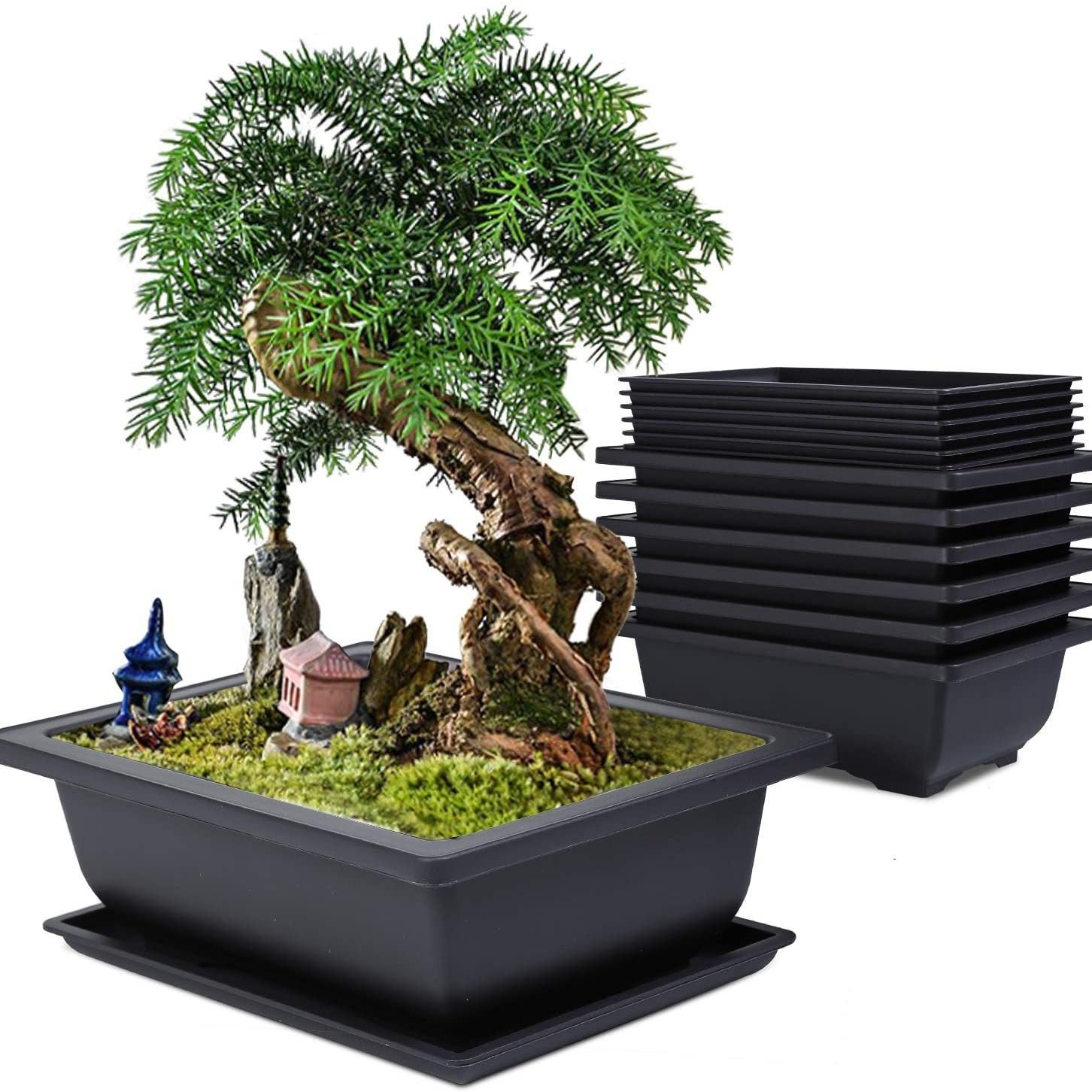 Zestaw 6 doniczek bonsai z podstawkami, 16x12x6 cm, plastikowe doniczki z narzędziami ogrodniczymi, prostokątna doniczka bonsai z otworem drenażowym d