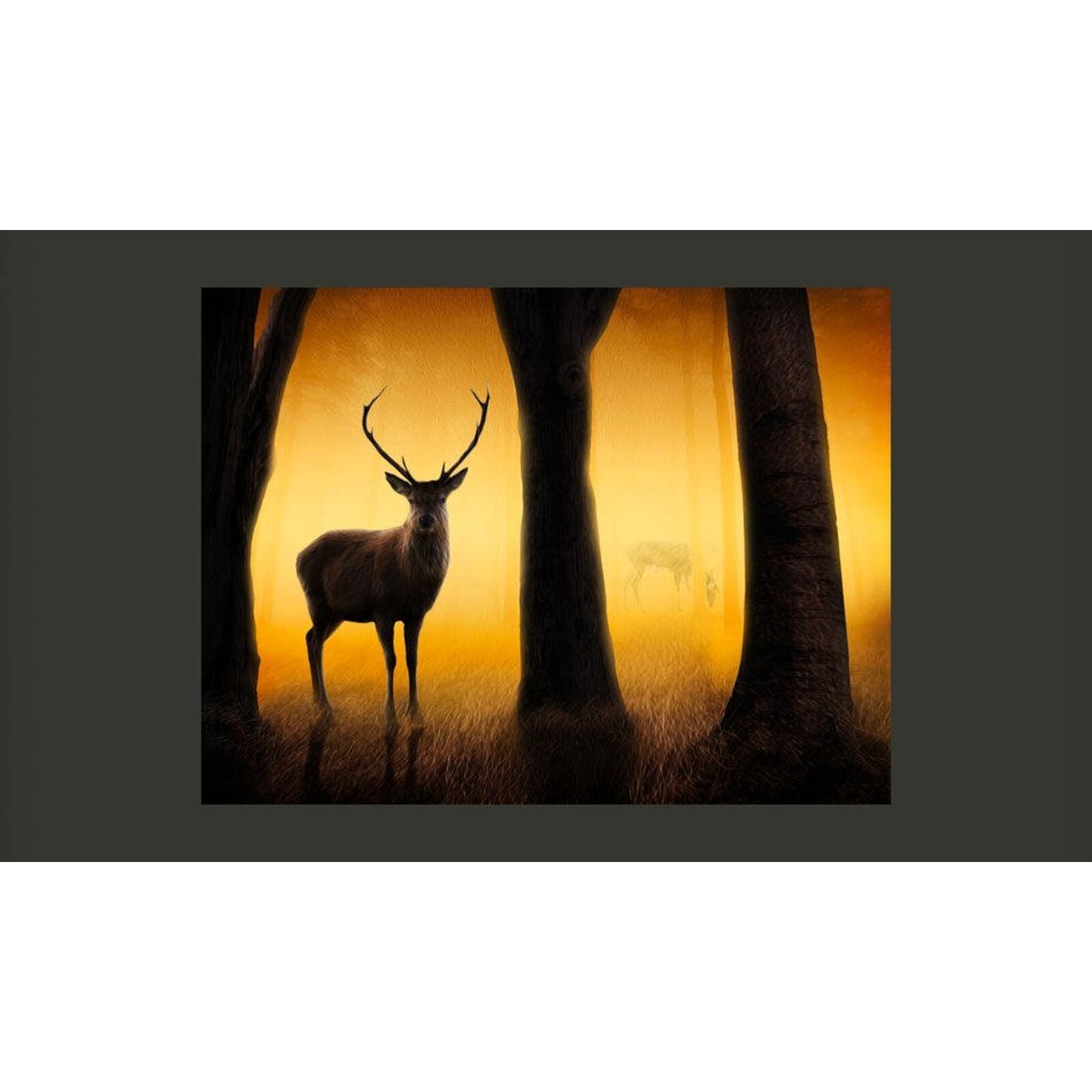 Papier peint cerf dans son habitat naturel - 200 x 154 cm - 2
