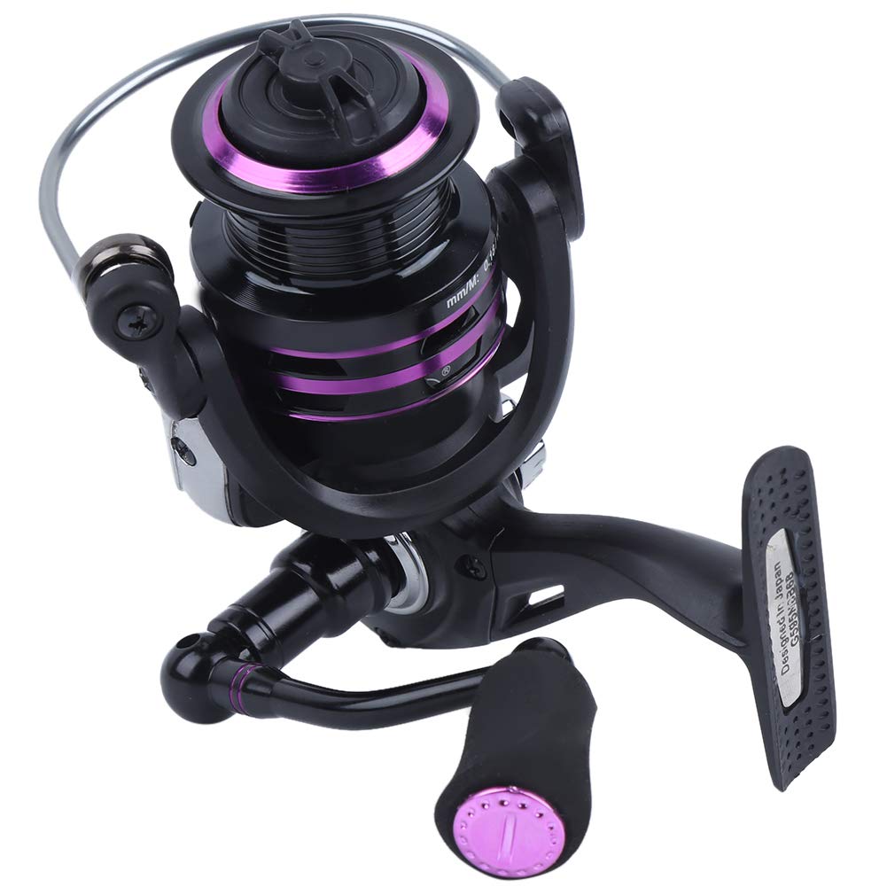 Accessorio per ruota da pesca con canna da mare, mulinello con esca di alta qualità (BT2000) - 5