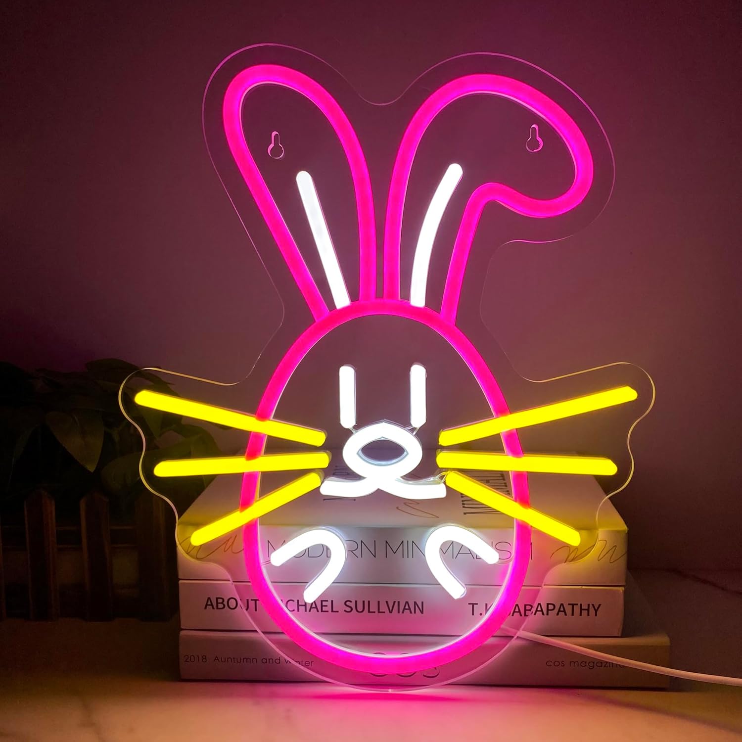 Oeufs De Pâques Enseignes Au Néon Décorations De Pâques Allumer Signe De Chambre LED Enseignes Au Neon Lumiere Usb Mur Decoration De Salon 90767941