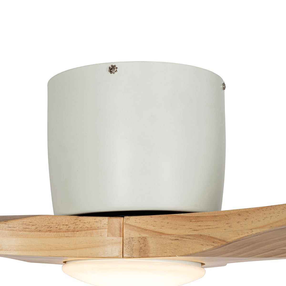 Qazqa moderne ventilateur plafond - Jerri - naturel, rond, led intégrée 24w incluse, 3000k - 6500k, avec télécommande, - 8