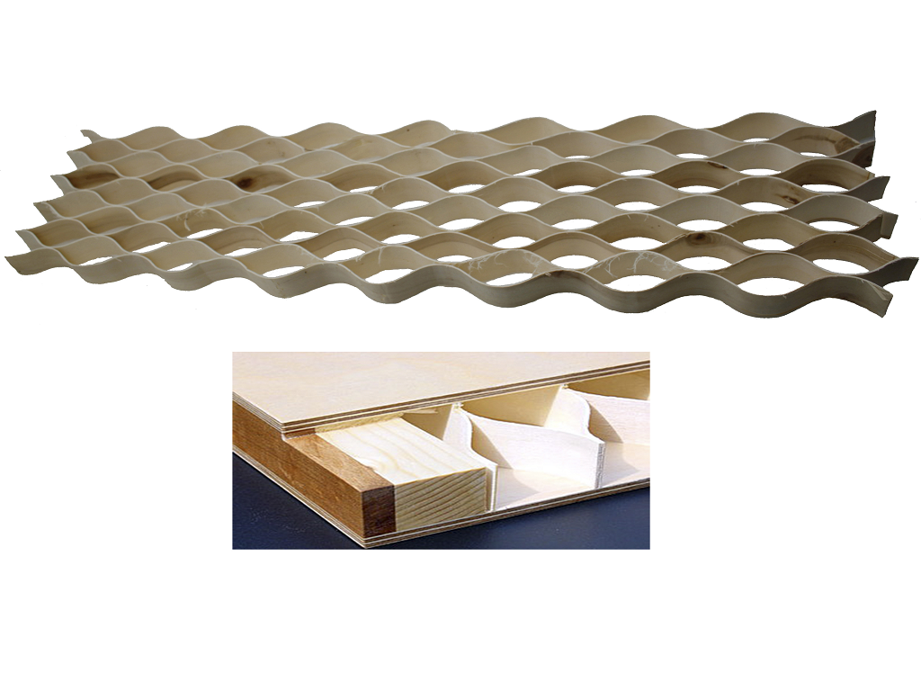 Noci Di Romagna - Il Nuovo Raccolto Sta Per Arrivare! - New Factor - Foto 9