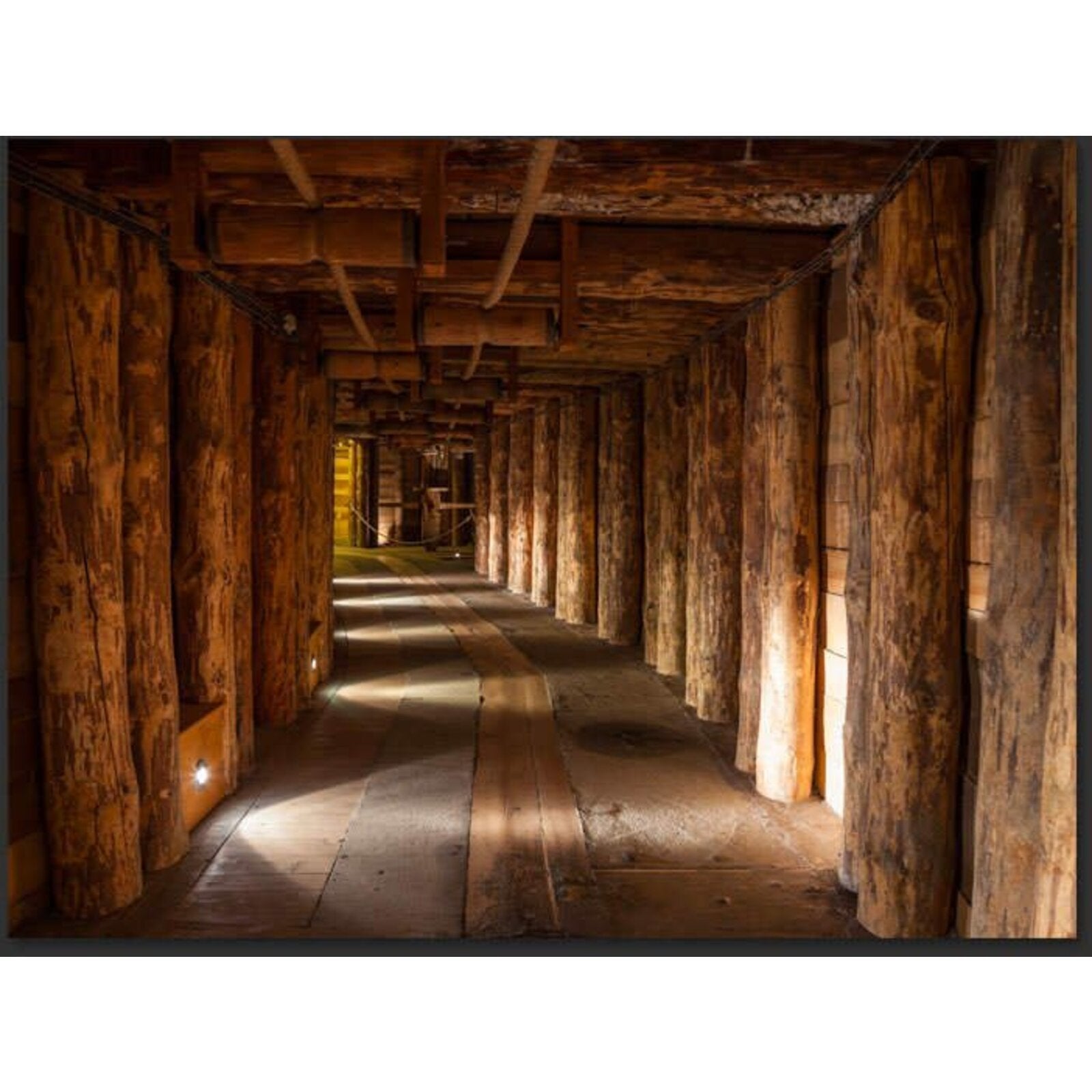 Papier peint passage en bois - 250 x 193 cm - 2