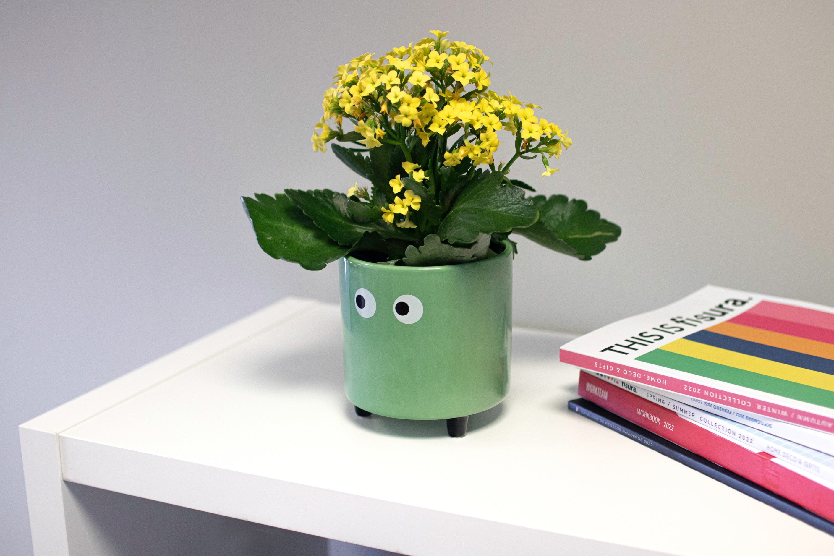 Fisura - Pot de fleurs original avec motif œil. Jardinière décorative. Pot en céramique verte pour fleurs et succulentes. Dimensions : 13 x 12,5 cm. - 5