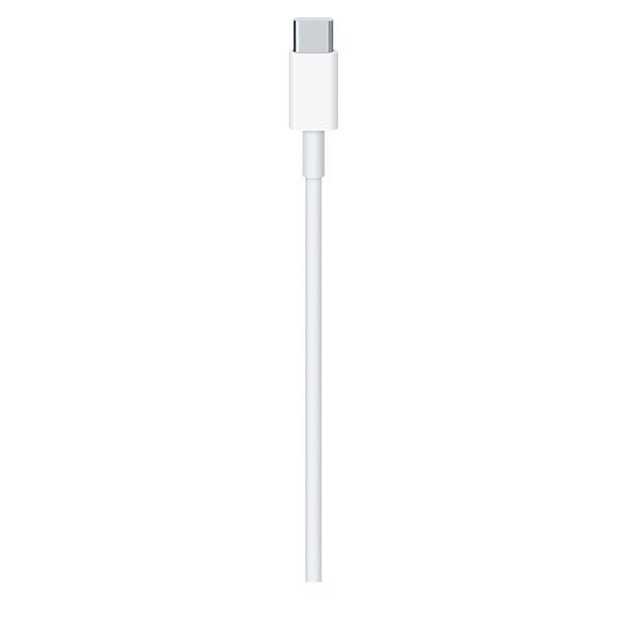 Câble USB C APPLE USB-C / USB C 2M - 3
