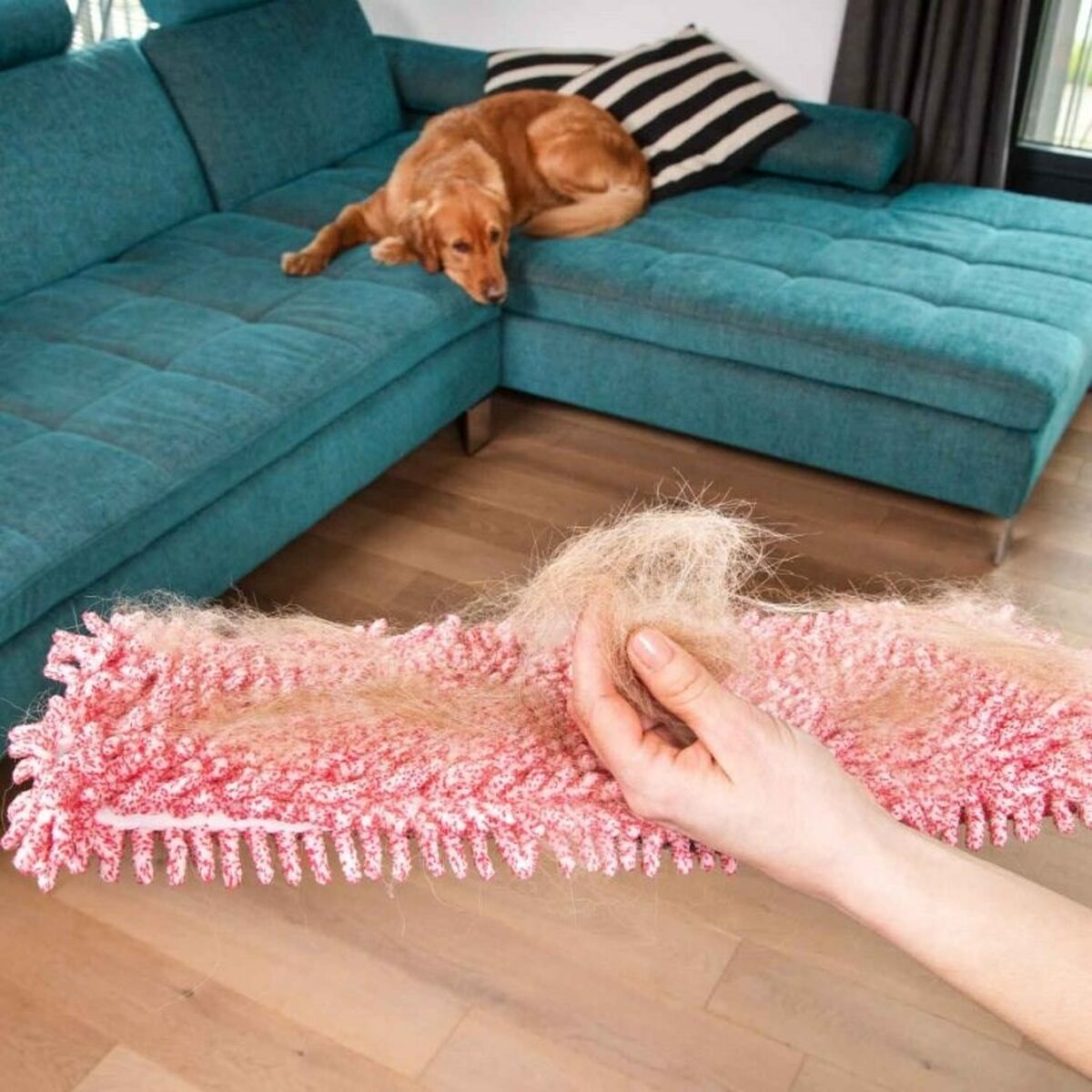 Serpillière Vileda Pet Pro Microfibre - 5