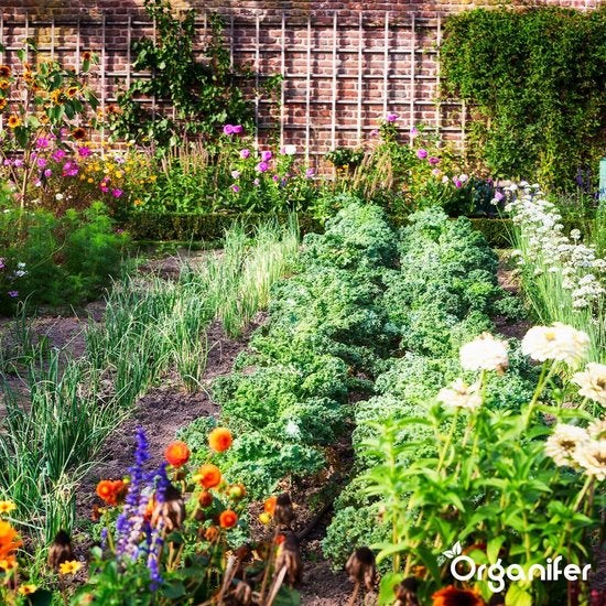 Lavagrit Issu De Roches Originelles D'Eifel - 25X = 500 Kg Pour 5.000 M2 - Organifer - 4