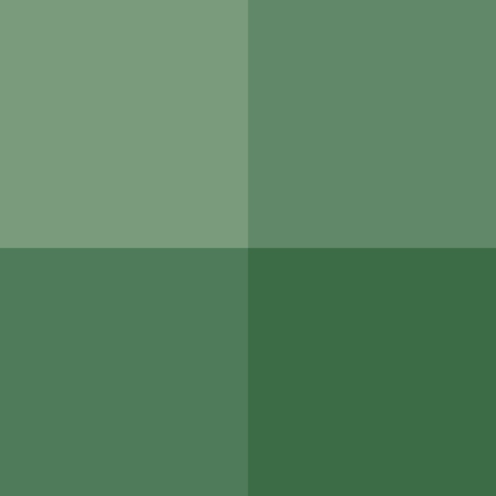 Pigments en poudre Cimcolor pour beton ciment enduit joint chaux Richard Cimcolor vert S 900g - 2