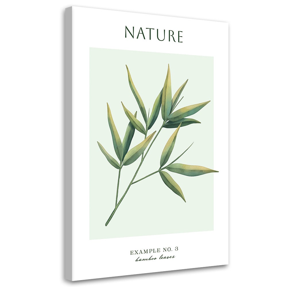 Obraz na płótnie, Liście bambusa - Natura 80x120