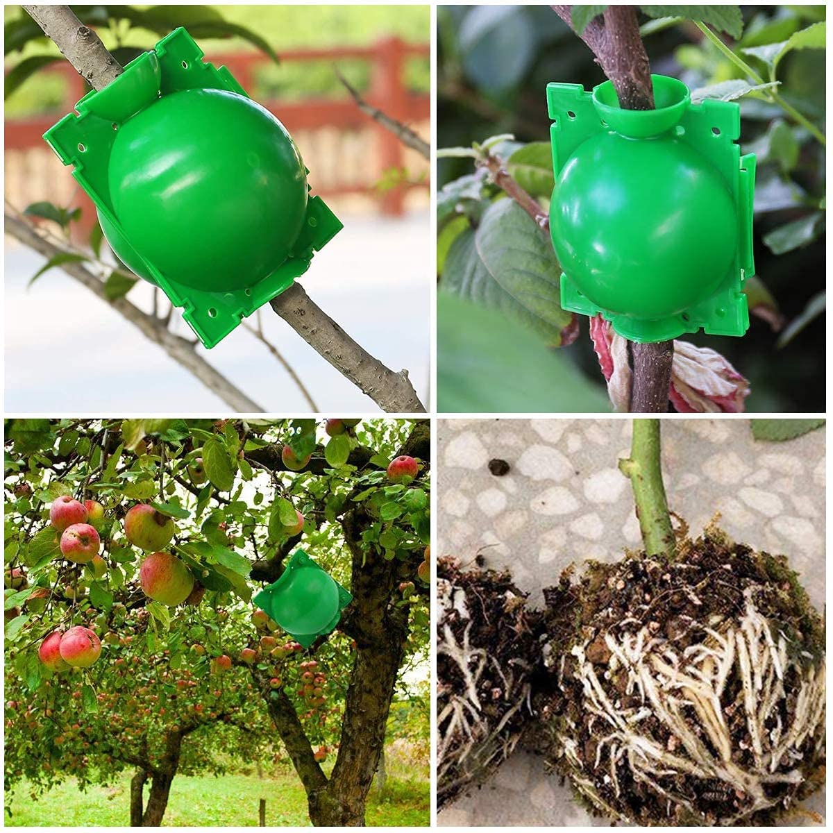 Dispositif d'enracinement de plantes réutilisable 6 pièces, accessoires de boule de propagation d'enracinement de jardinage (petit/vert) - 9