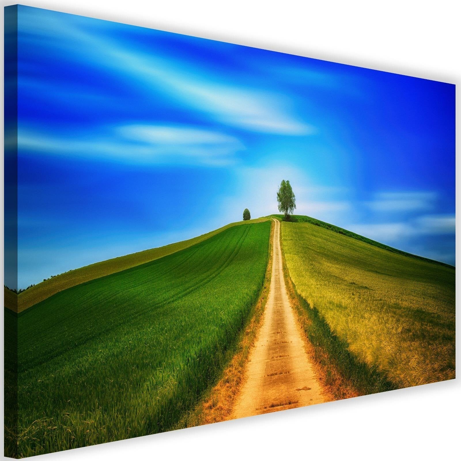 Tableau route de la colline Leroy Merlin