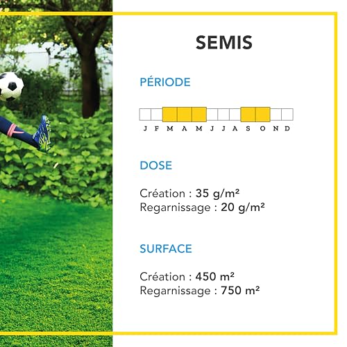 BARENBRUG - Gazon Sport & Usage intensif - Super Résistant - Excellent Comportement Estival - Implantation Rapide et Facile - 15KG - 4