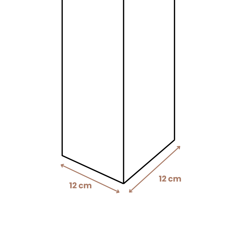 CARPORT BOIS 2 VOITURES AVEC ANNEXE 39M² - 4