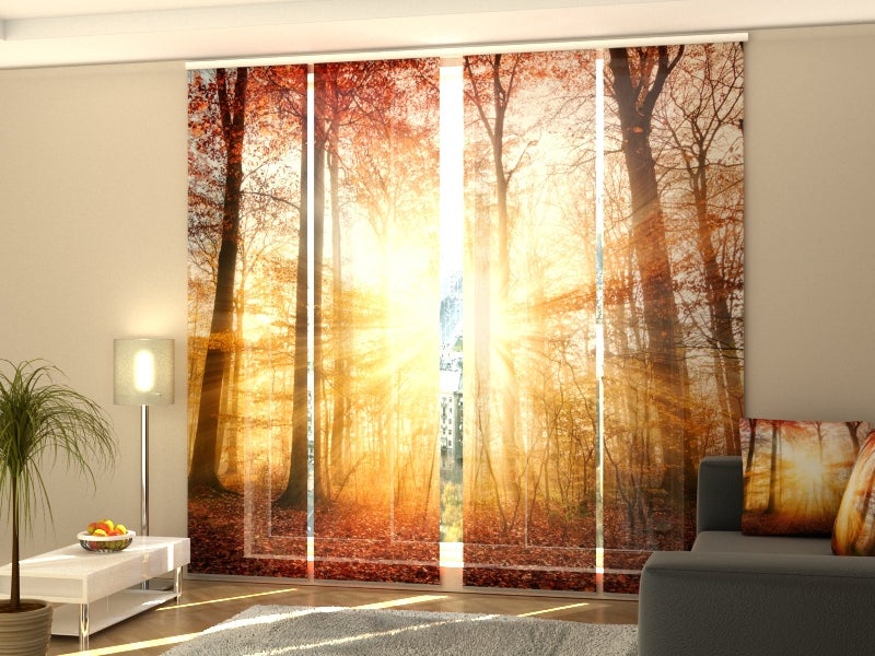 Panneau Coulissant Rideau Home Fashion 'Haze' - Impression Numérique Sur Polyester, 245x60 Cm, Aspect Soie