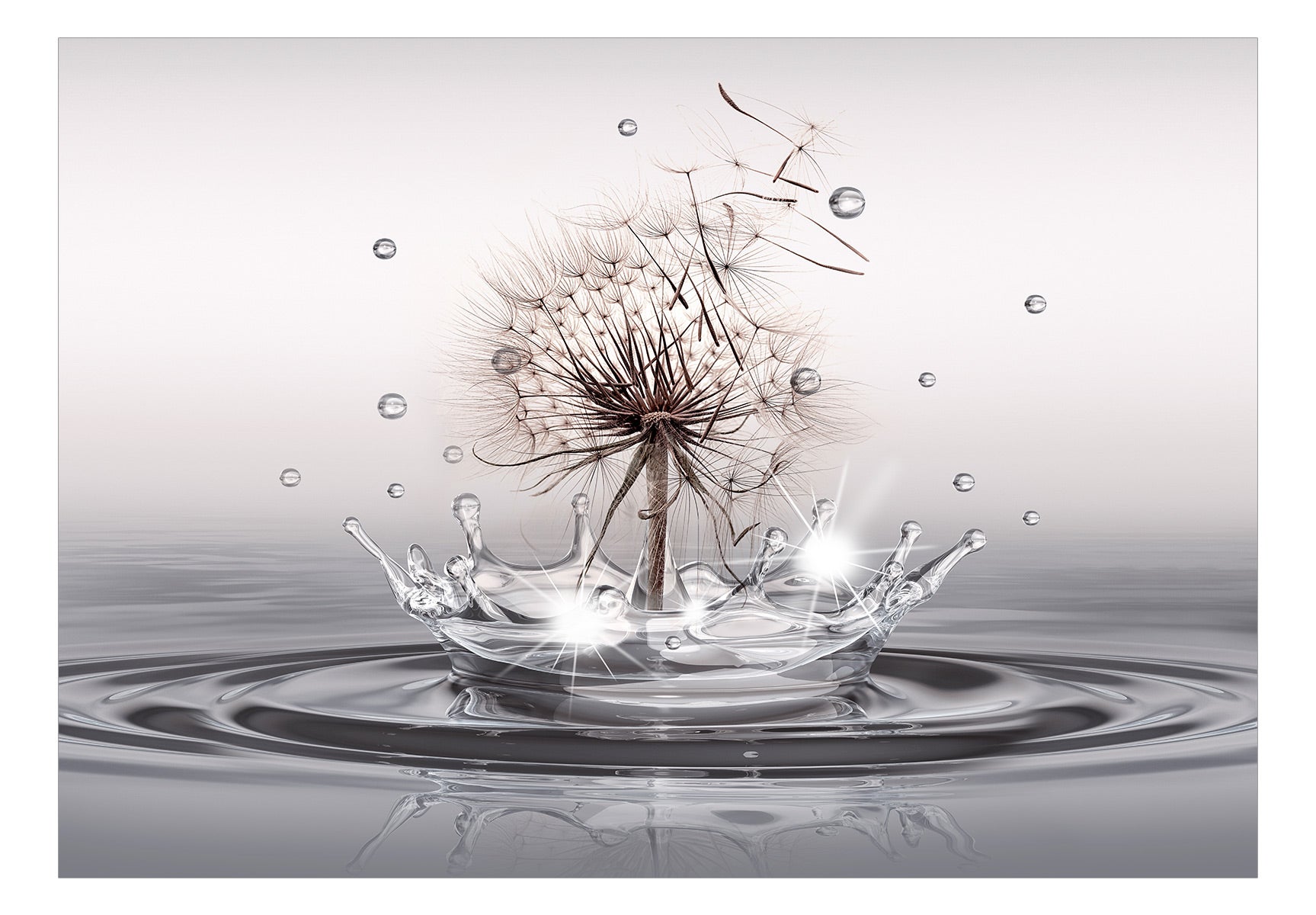 Papier peint - Wind Drops - 250x175 - 2