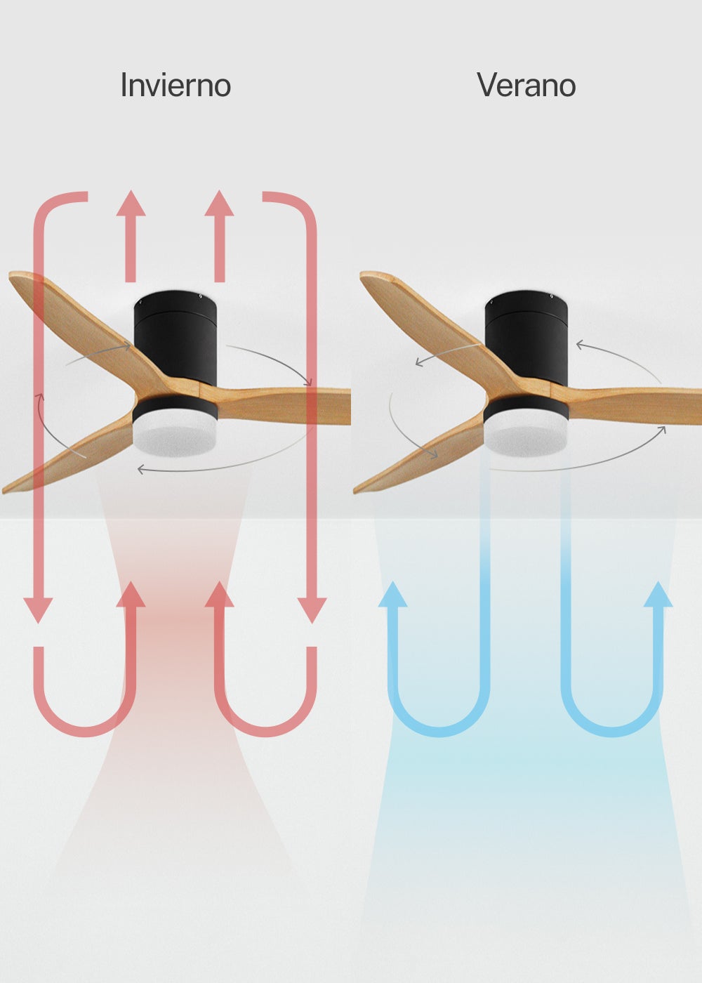 CREATE - WIND CALM M - Ventilateur de plafond silencieux 40W avec pales techniques en ABS Ø132cm avec eclaraige avec contrôleur mural - 6
