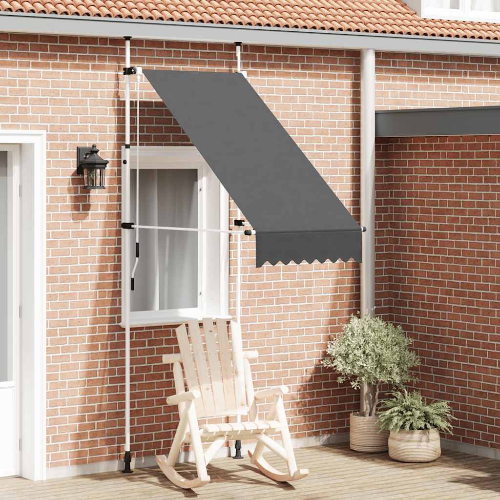 Maison exclusive - toldo retráctil de operación manual gris antracita 100 cm