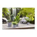 Pot De Fleurs Elho Greensense Aqua Care Carré 30 - Gris/ciment, Système D'arrosage Automatique, Ø14-50 Cm
