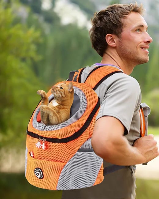 Sac à dos pour animaux de compagnie avec sangles rembourrées et