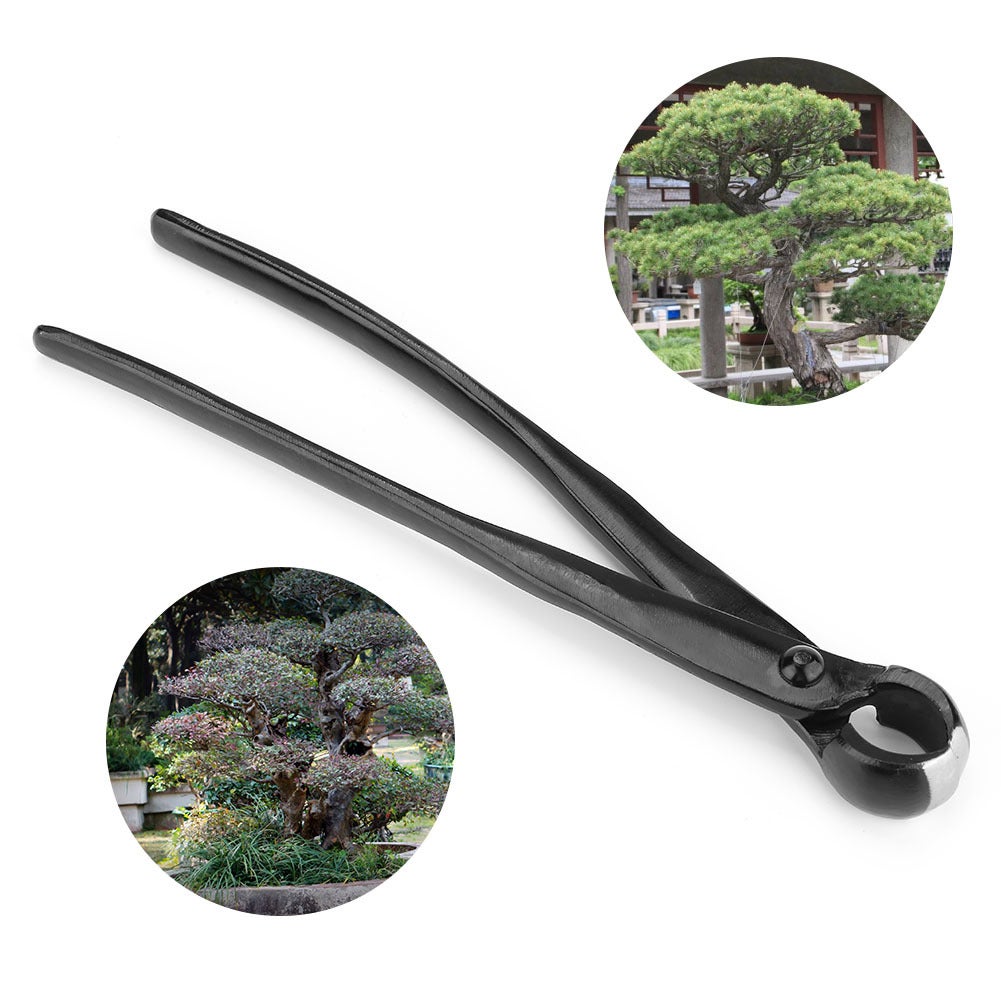 Wklęsłe szczypce do bonsai z prostym ostrzem - stal nierdzewna